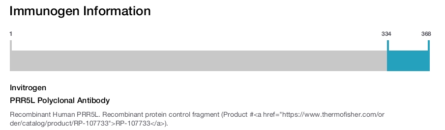 PRR5L Polyclonal Antibody