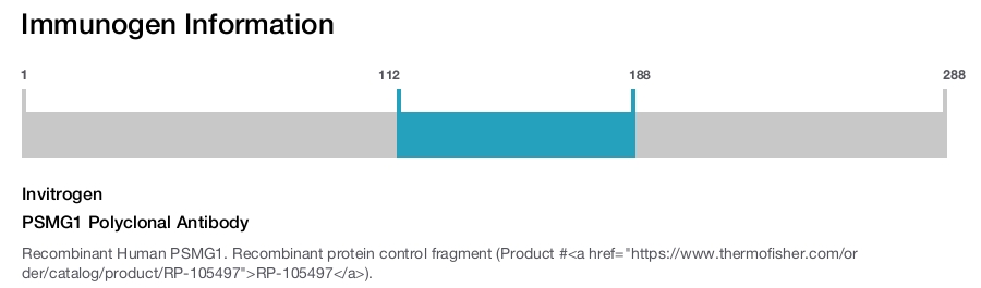 PSMG1 Polyclonal Antibody