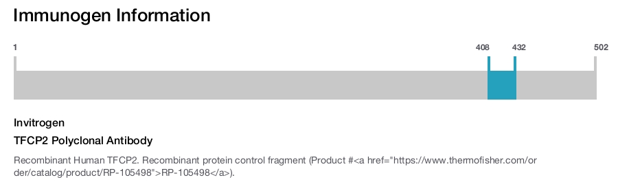 TFCP2 Polyclonal Antibody