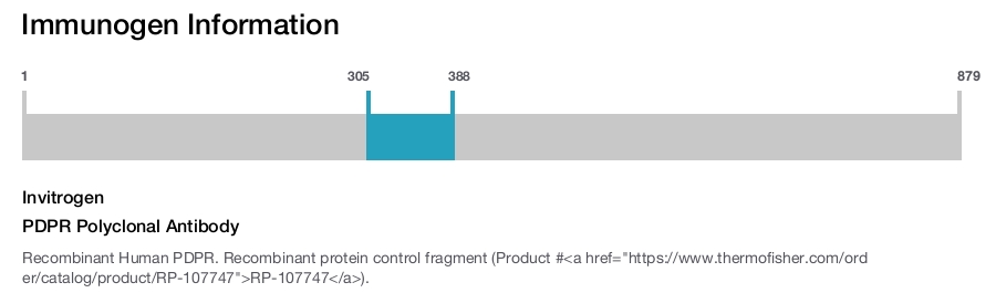 PDPR Polyclonal Antibody