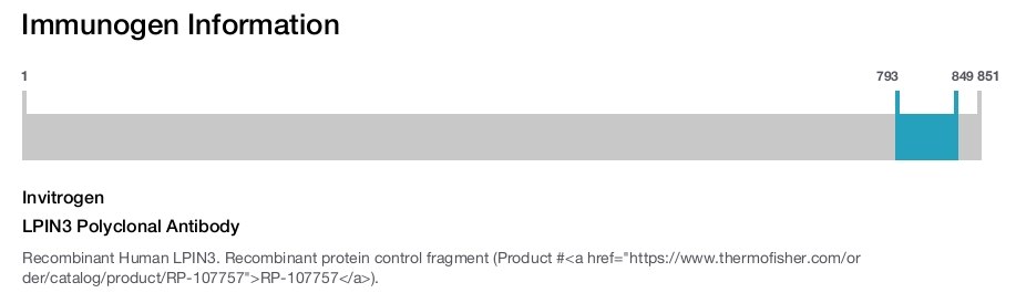 LPIN3 Polyclonal Antibody