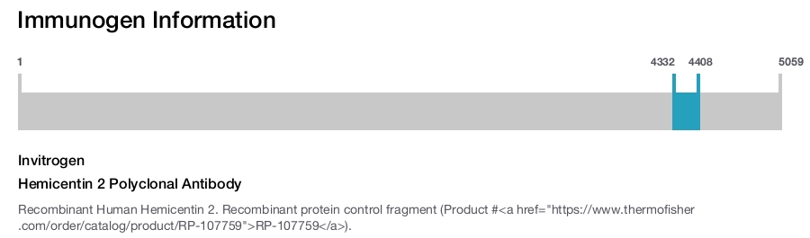 Hemicentin 2 Polyclonal Antibody