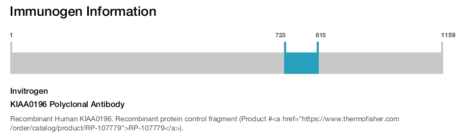 KIAA0196 Polyclonal Antibody