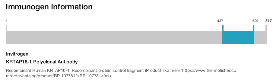 KRTAP16-1 Polyclonal Antibody