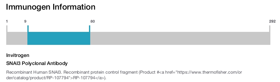 SNAI3 Polyclonal Antibody