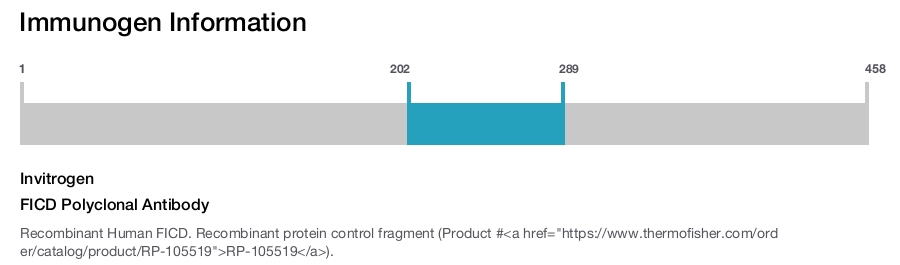 FICD Polyclonal Antibody