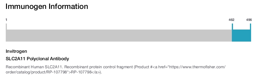 SLC2A11 Polyclonal Antibody