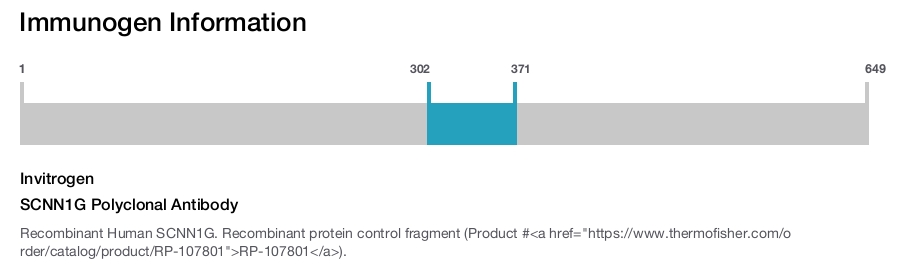 SCNN1G Polyclonal Antibody