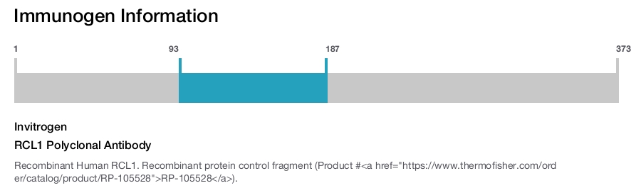 RCL1 Polyclonal Antibody