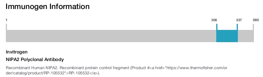 NIPA2 Polyclonal Antibody