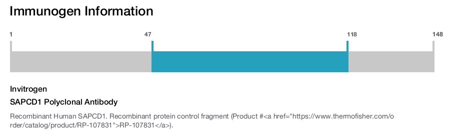 SAPCD1 Polyclonal Antibody
