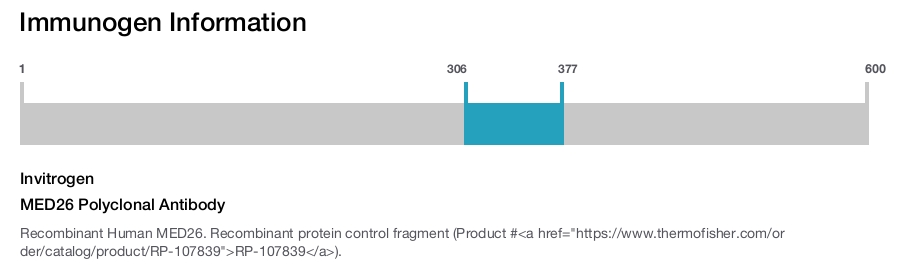 MED26 Polyclonal Antibody