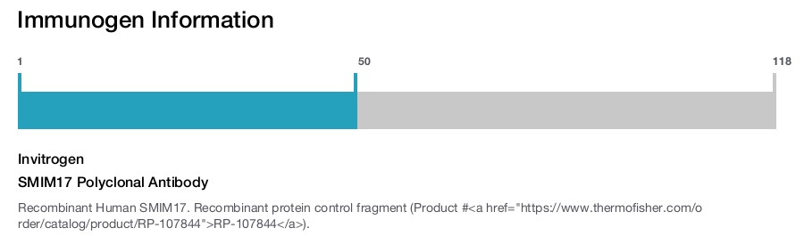 SMIM17 Polyclonal Antibody