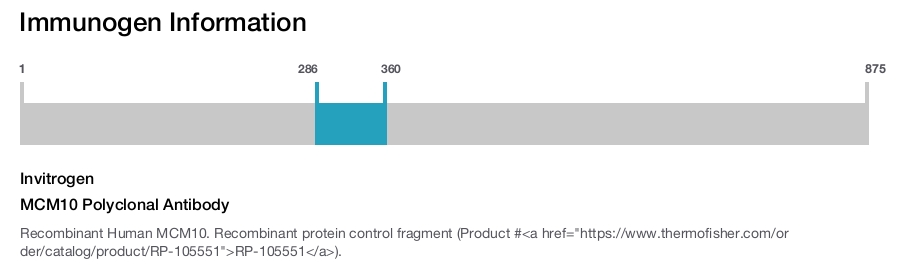 MCM10 Polyclonal Antibody