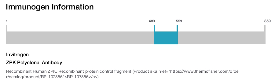 ZPK Polyclonal Antibody