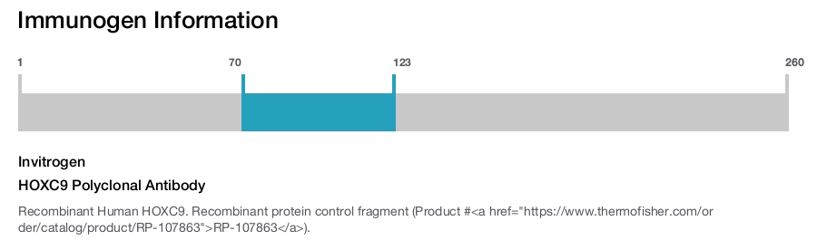 HOXC9 Polyclonal Antibody