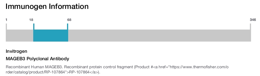 MAGEB3 Polyclonal Antibody