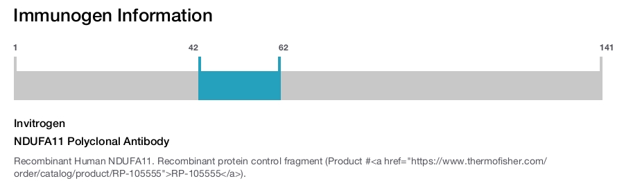 NDUFA11 Polyclonal Antibody