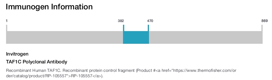 TAF1C Polyclonal Antibody