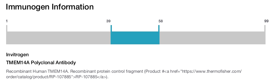 TMEM14A Polyclonal Antibody