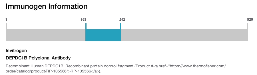 DEPDC1B Polyclonal Antibody
