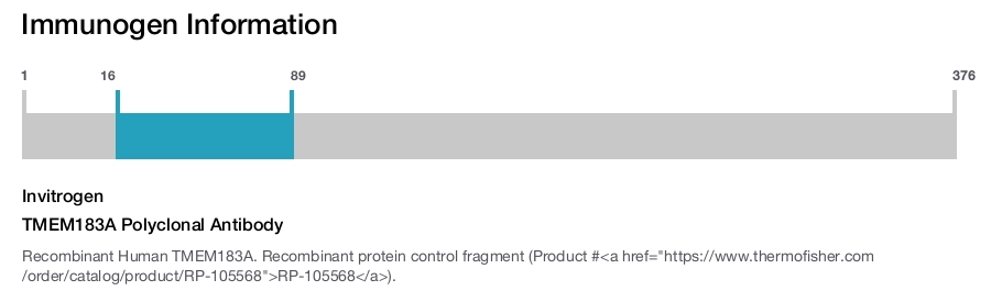 TMEM183A Polyclonal Antibody