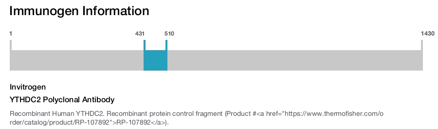 YTHDC2 Polyclonal Antibody