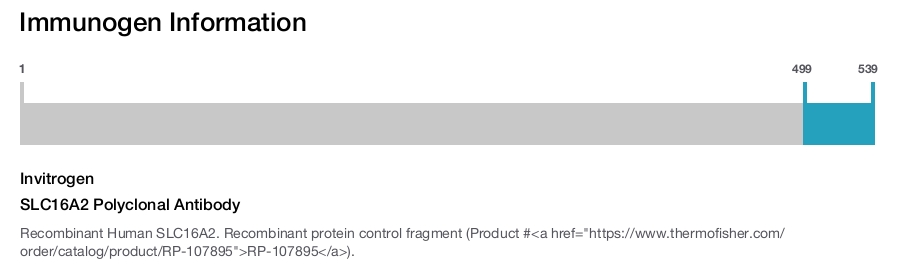 SLC16A2 Polyclonal Antibody