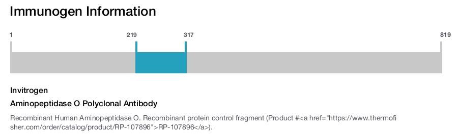 Aminopeptidase O Polyclonal Antibody