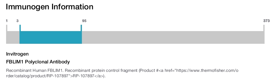 FBLIM1 Polyclonal Antibody