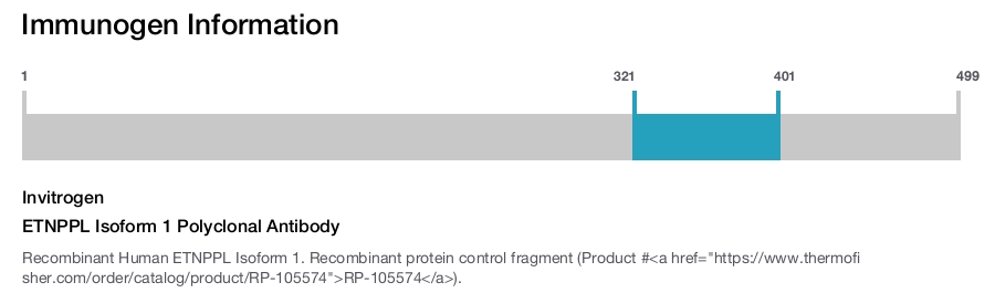 ETNPPL Isoform 1 Polyclonal Antibody