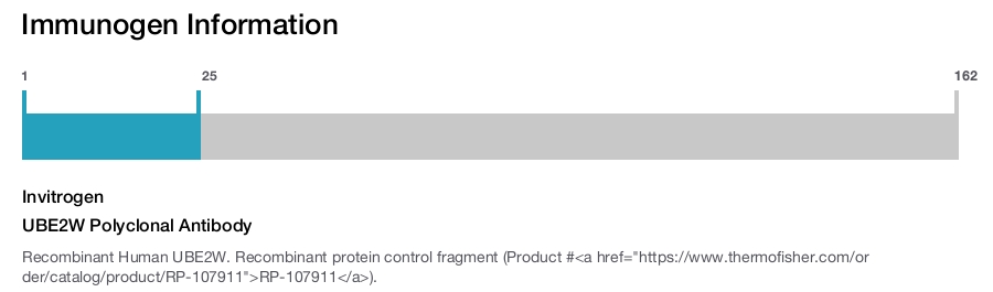 UBE2W Polyclonal Antibody