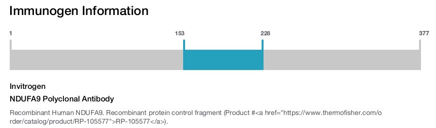 NDUFA9 Polyclonal Antibody