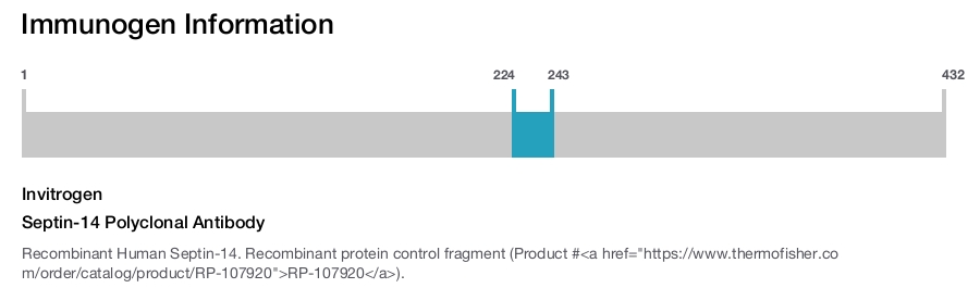 Septin-14 Polyclonal Antibody