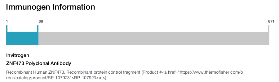 ZNF473 Polyclonal Antibody
