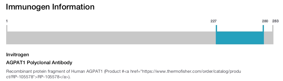 AGPAT1 Polyclonal Antibody
