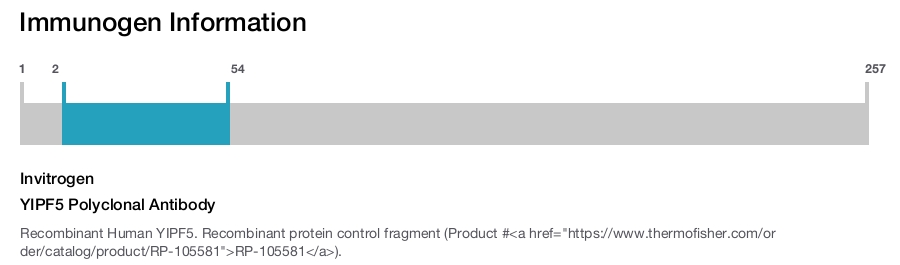 YIPF5 Polyclonal Antibody