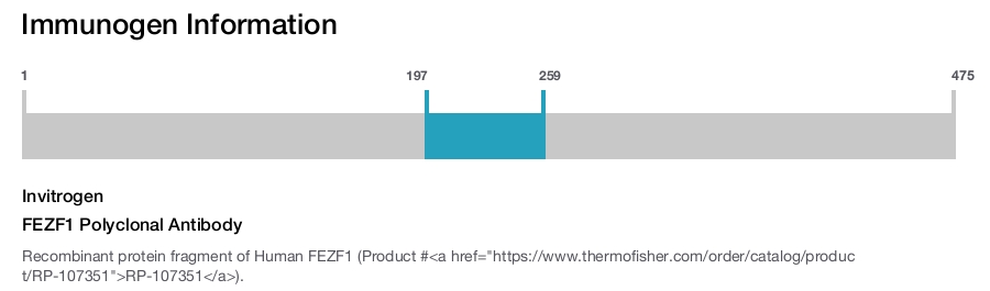FEZF1 Polyclonal Antibody