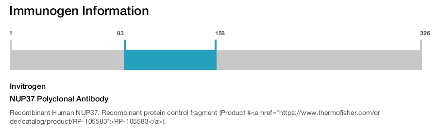 NUP37 Polyclonal Antibody