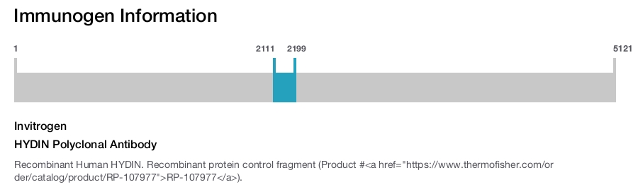 HYDIN Polyclonal Antibody