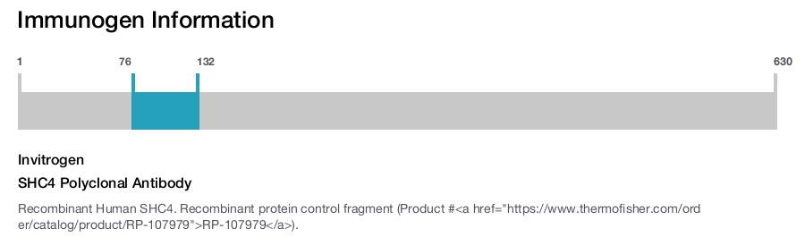 SHC4 Polyclonal Antibody