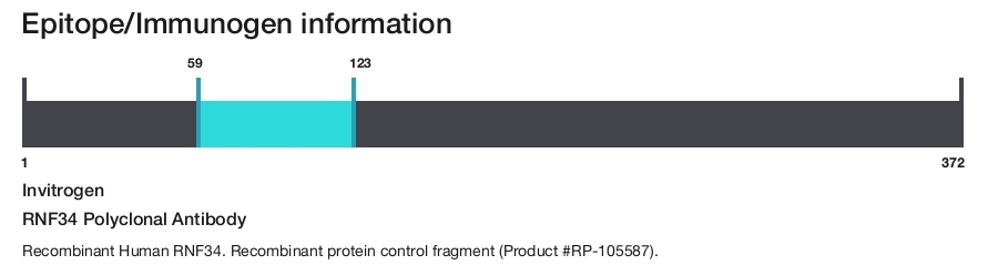 RNF34 Polyclonal Antibody