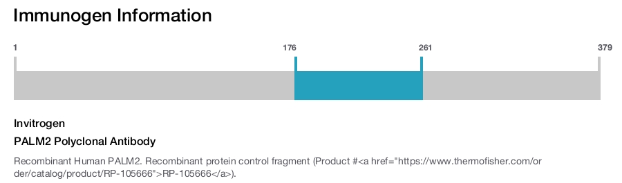 PALM2 Polyclonal Antibody