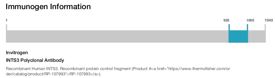 INTS3 Polyclonal Antibody