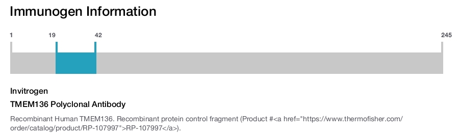 TMEM136 Polyclonal Antibody