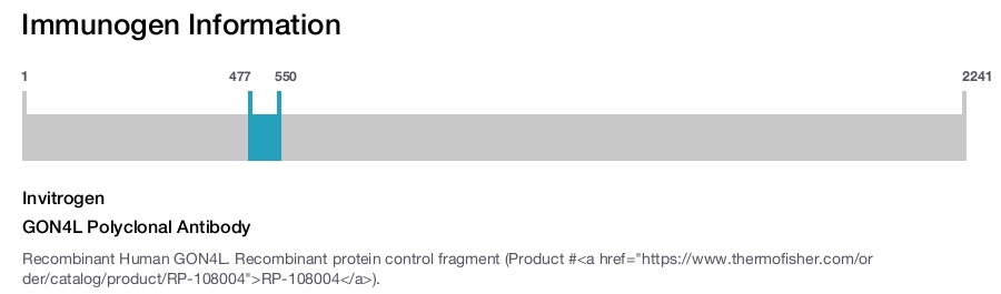 GON4L Polyclonal Antibody