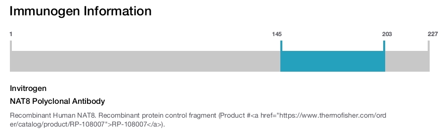 NAT8 Polyclonal Antibody