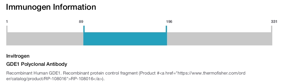 GDE1 Polyclonal Antibody