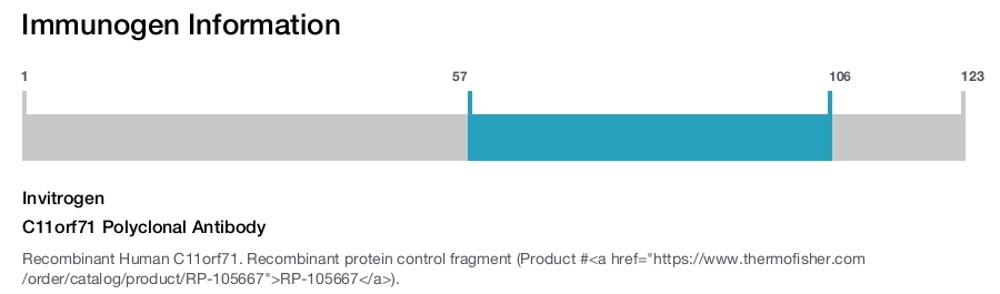 C11orf71 Polyclonal Antibody