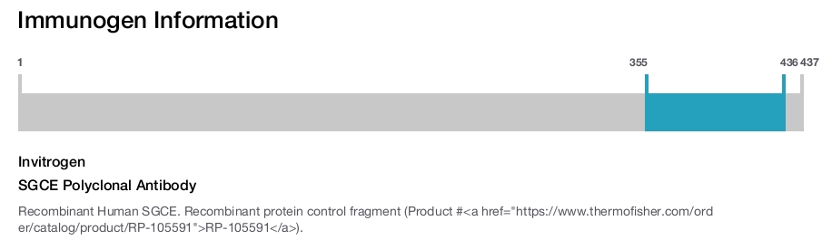 SGCE Polyclonal Antibody